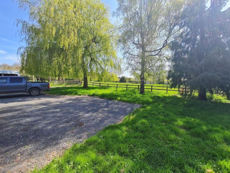 The Little Cottage - Peaceful, Dog Friendly Cottage In 5 Acres Glastonbury Ngoại thất bức ảnh