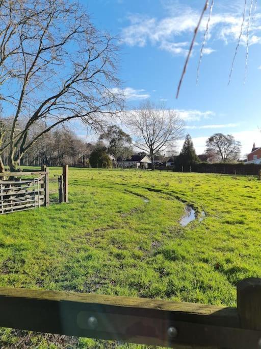 The Little Cottage - Peaceful, Dog Friendly Cottage In 5 Acres Glastonbury Ngoại thất bức ảnh