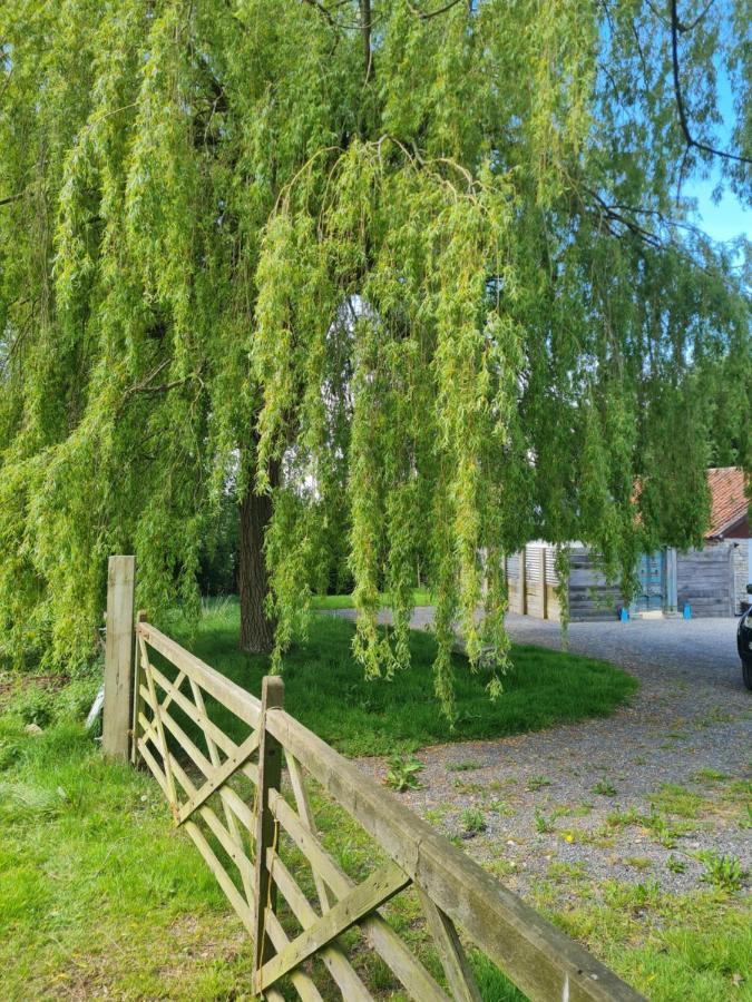 The Little Cottage - Peaceful, Dog Friendly Cottage In 5 Acres Glastonbury Ngoại thất bức ảnh